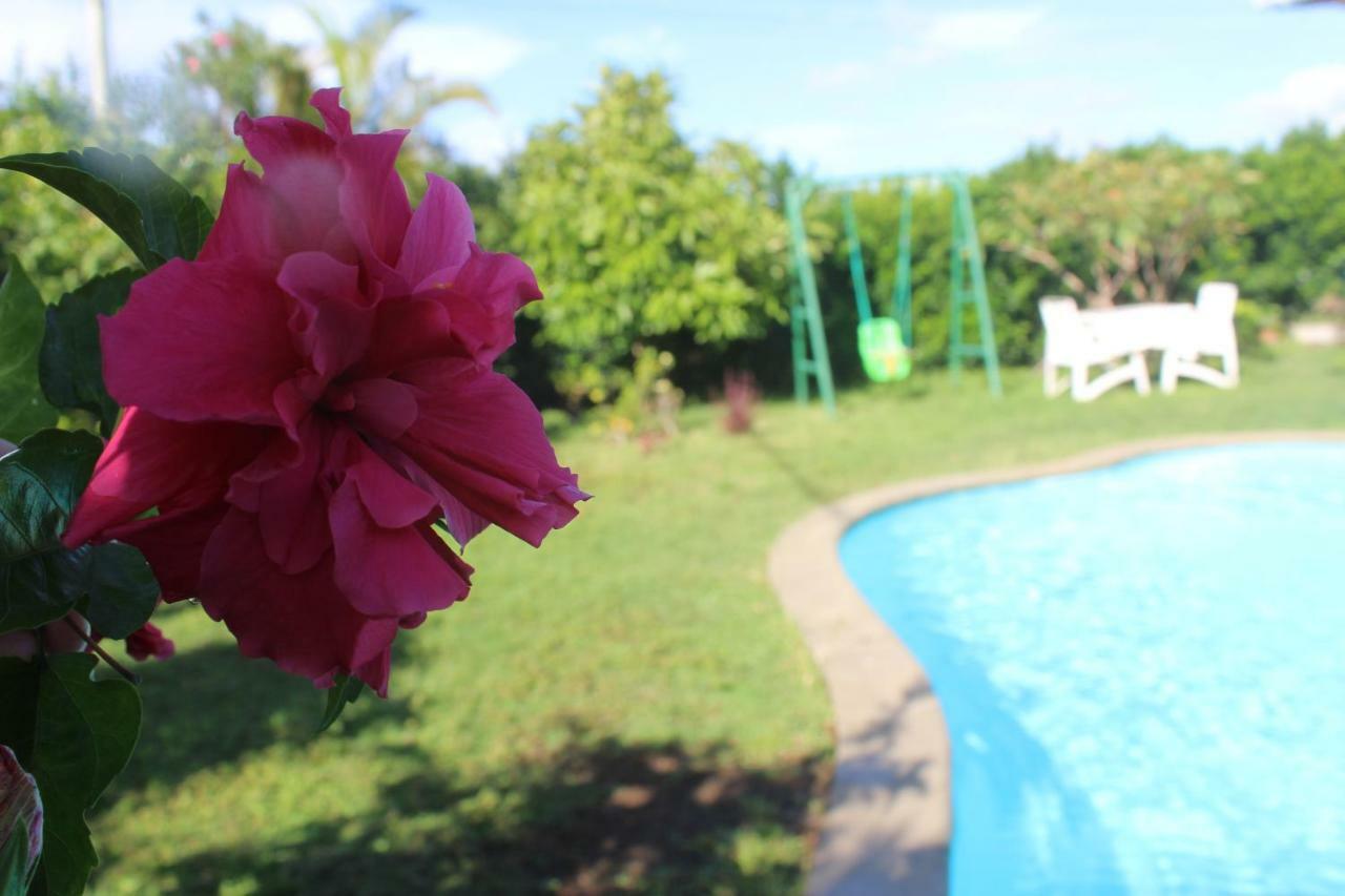 Gite Des Acacias Union Vale Ngoại thất bức ảnh